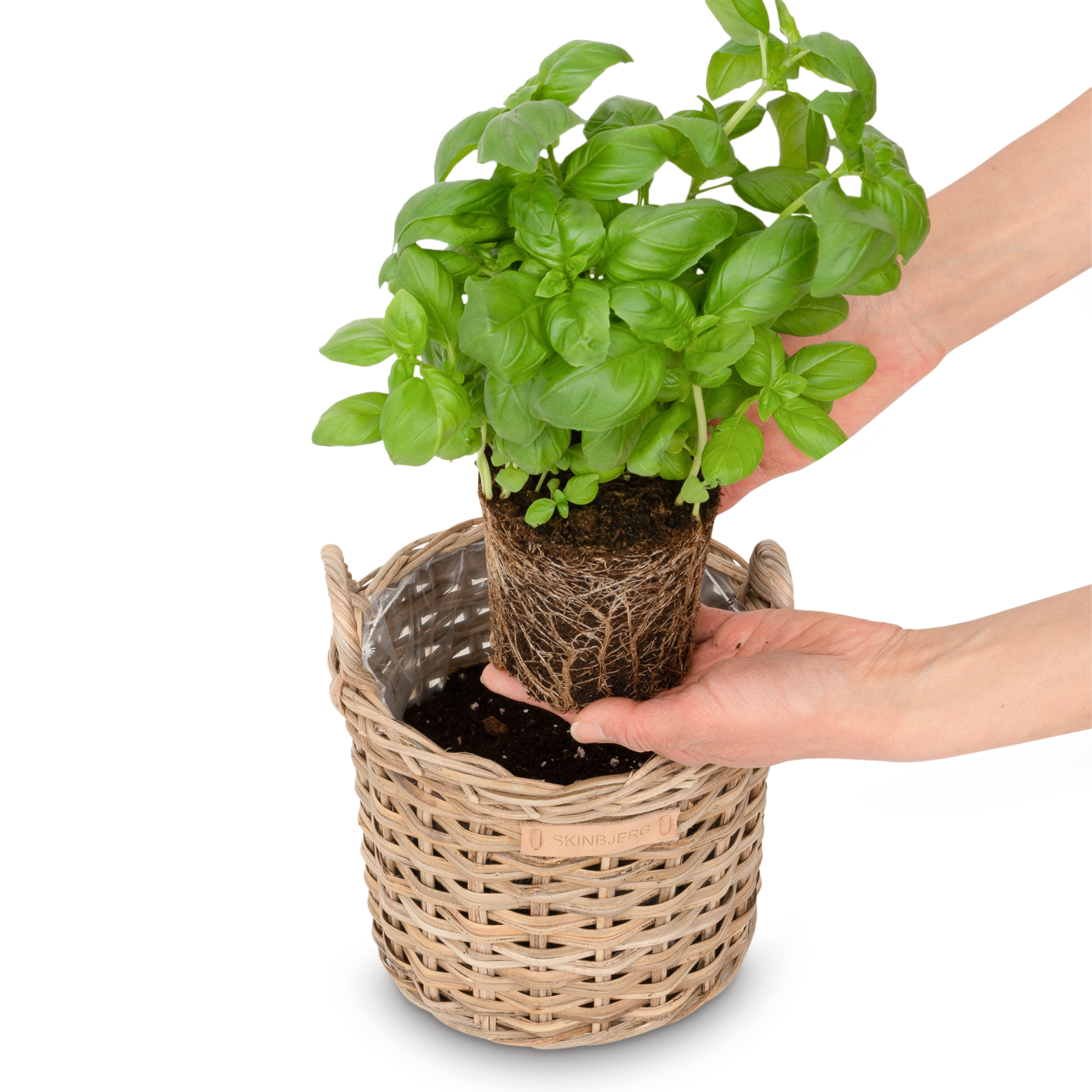 Høj Plante Kurv Natur - sæt á 3 størrelser