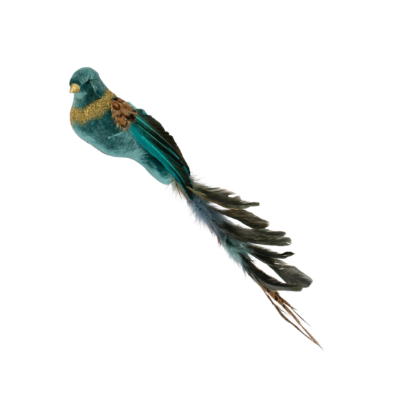 Small Turquoise Bird