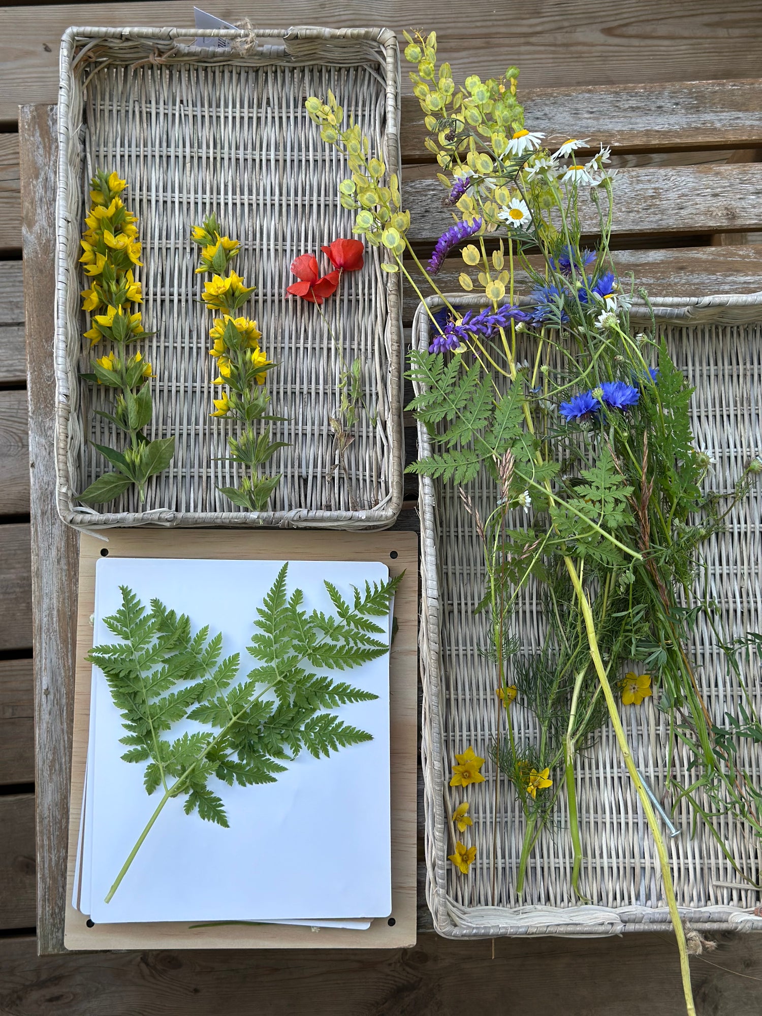 Lav Bakke Til Opbevaring - Sæt á 3