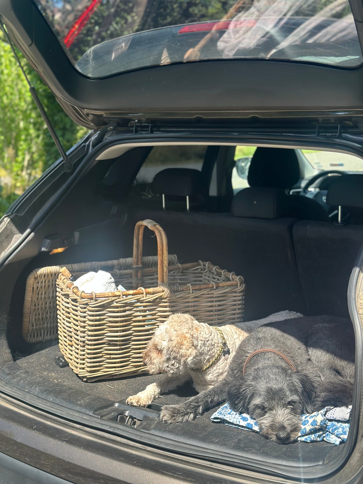 Picnic Kurv Med Låg